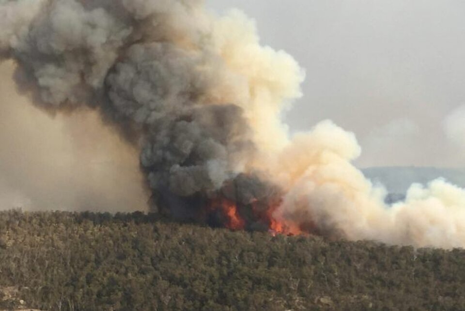 Buschbrände in Australien Buschbrände in Australien weiten sich aus