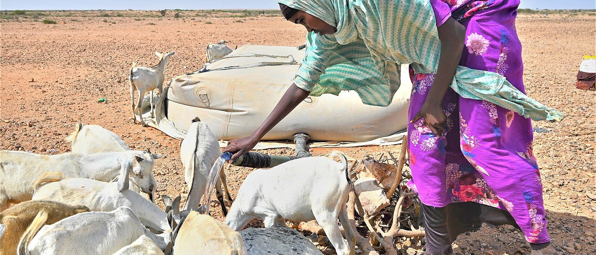 Somalia Hirtin versorgt Ziegen mit Wasser
