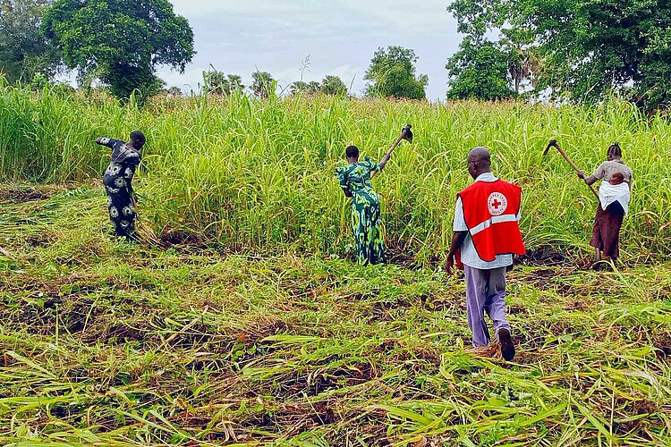 Rotkreuz-Mitarbeiter in einer Gemeinde in Uganda beim landwirtschaftlichen Anbau 