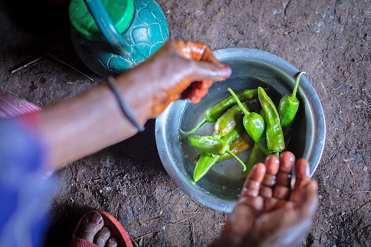 Paprika in Wasserschüssel