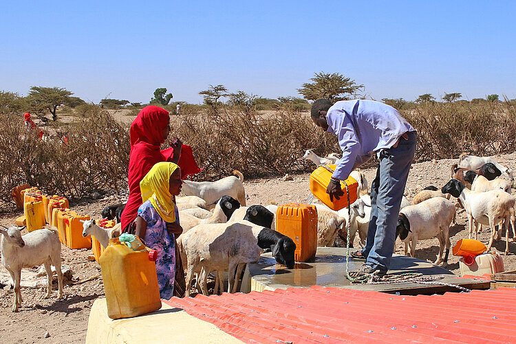 Wasserquelle in Somalia Menschen in Somalia an einer Wasserstelle