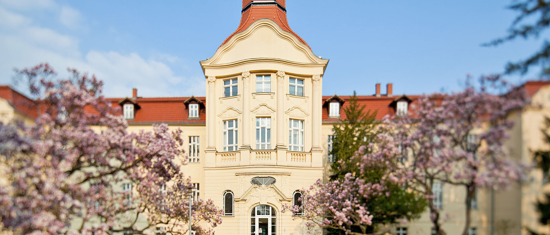 DRK-Generalsekretariat Bäume vor DRK-Generalsekretariat in Frühlingsblüte