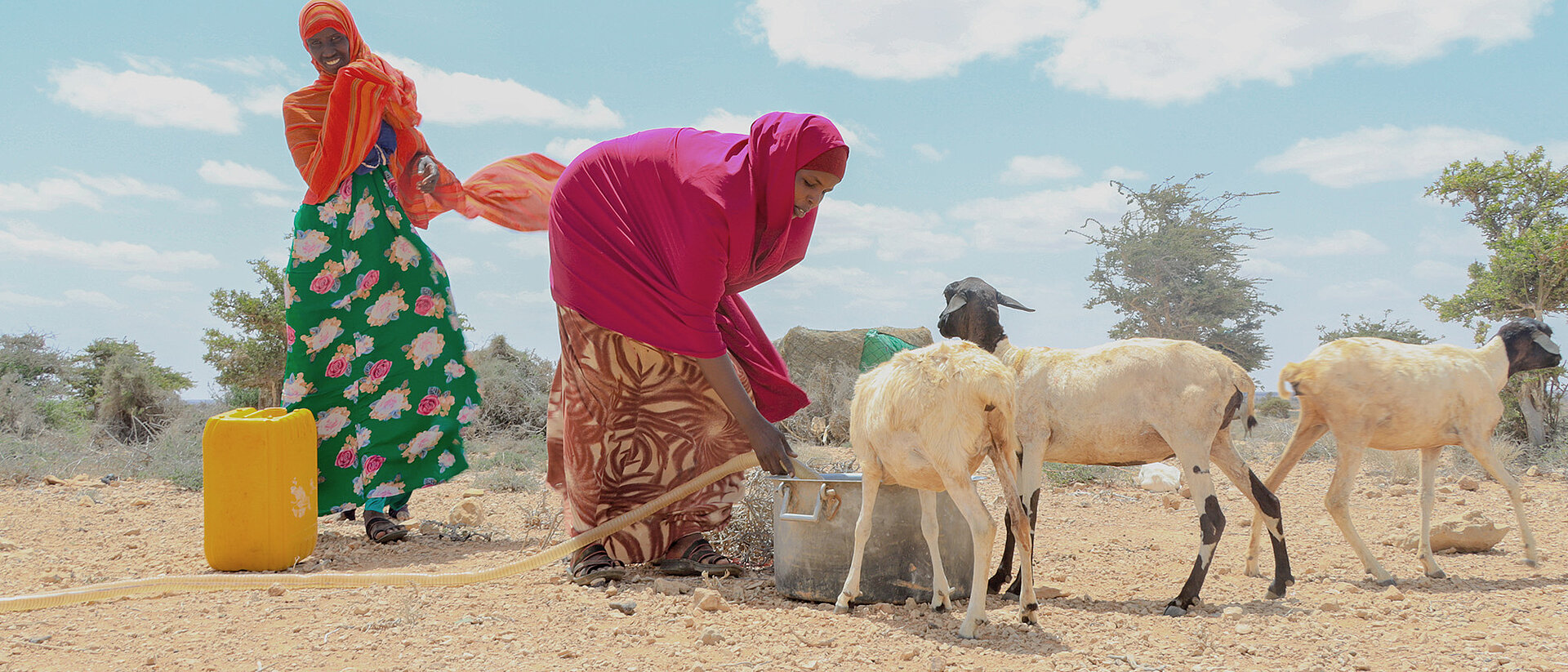 Wasser während der Dürre in Somalia 